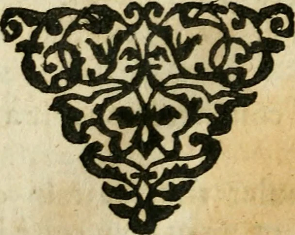 An illustration from Essay des merveilles de natvre et des plvs nobles actifices. Piece tres necessaire, à tous ceux qui font profession d'eloquence, 1636, leaf 323