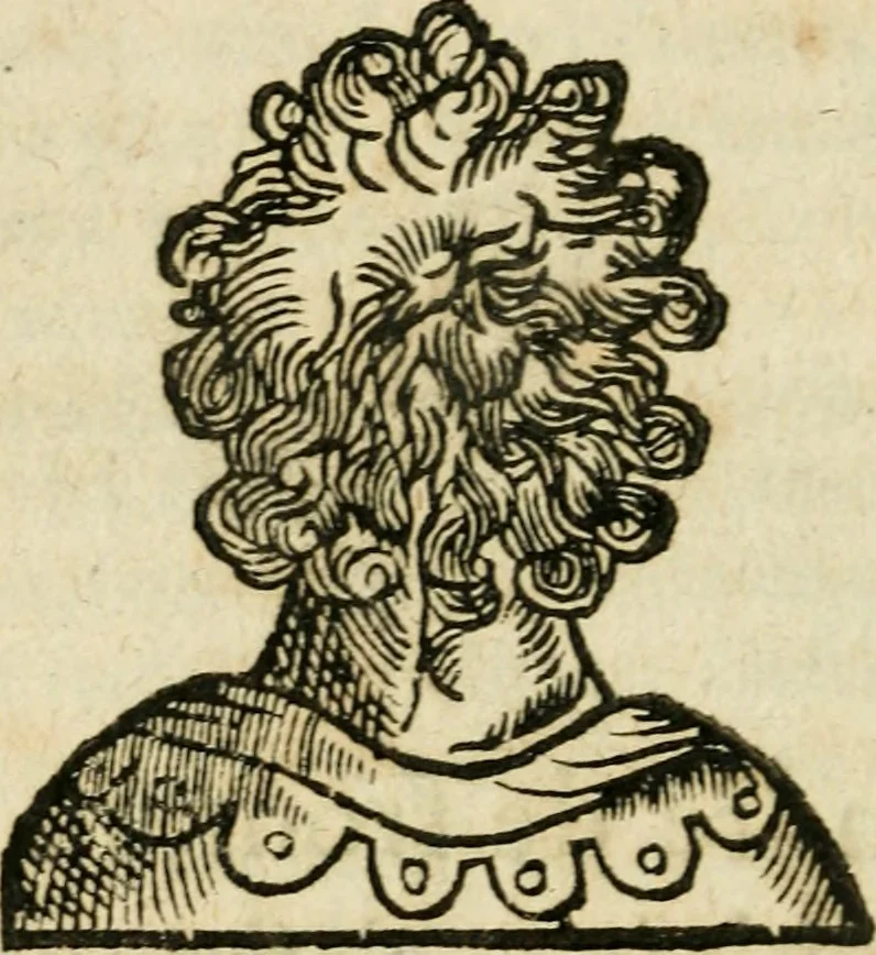 An illustration from Essay des merveilles de natvre et des plvs nobles actifices. Piece tres necessaire, à tous ceux qui font profession d'eloquence, 1636, leaf 335