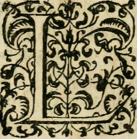 An illustration from Essay des merveilles de natvre et des plvs nobles actifices. Piece tres necessaire, à tous ceux qui font profession d'eloquence, 1636, leaf 394