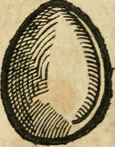 An illustration from Essay des merveilles de natvre et des plvs nobles actifices. Piece tres necessaire, à tous ceux qui font profession d'eloquence, 1636, leaf 431