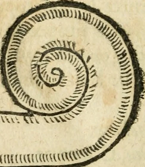 An illustration from Essay des merveilles de natvre et des plvs nobles actifices. Piece tres necessaire, à tous ceux qui font profession d'eloquence, 1636, leaf 439