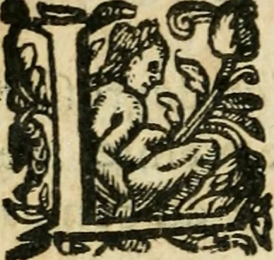 An illustration from Essay des merveilles de natvre et des plvs nobles actifices. Piece tres necessaire, à tous ceux qui font profession d'eloquence, 1636, leaf 481