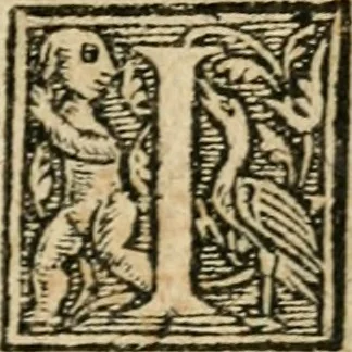 An illustration from Essay des merveilles de natvre et des plvs nobles actifices. Piece tres necessaire, à tous ceux qui font profession d'eloquence, 1636, leaf 52