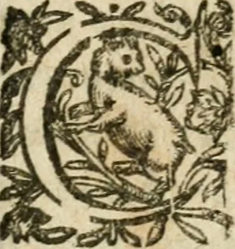 An illustration from Essay des merveilles de natvre et des plvs nobles actifices. Piece tres necessaire, à tous ceux qui font profession d'eloquence, 1636, leaf 554