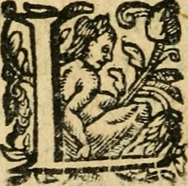 An illustration from Essay des merveilles de natvre et des plvs nobles actifices. Piece tres necessaire, à tous ceux qui font profession d'eloquence, 1636, leaf 599