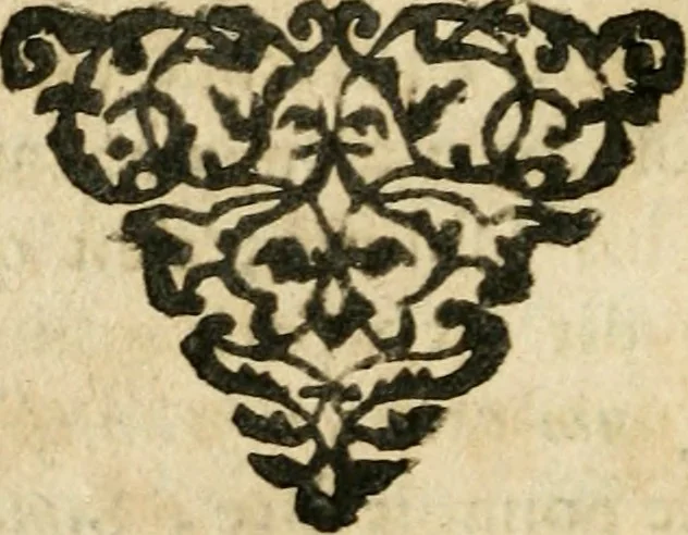 An illustration from Essay des merveilles de natvre et des plvs nobles actifices. Piece tres necessaire, à tous ceux qui font profession d'eloquence, 1636, leaf 621