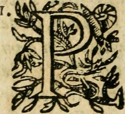 An illustration from Essay des merveilles de natvre et des plvs nobles actifices. Piece tres necessaire, à tous ceux qui font profession d'eloquence, 1636, leaf 71