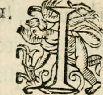 An illustration from Essay des merveilles de natvre, et des plvs nobles artifices. Piece tres-necessaire, à tous ceux qui font profession d'eloquence, 1625, leaf 139