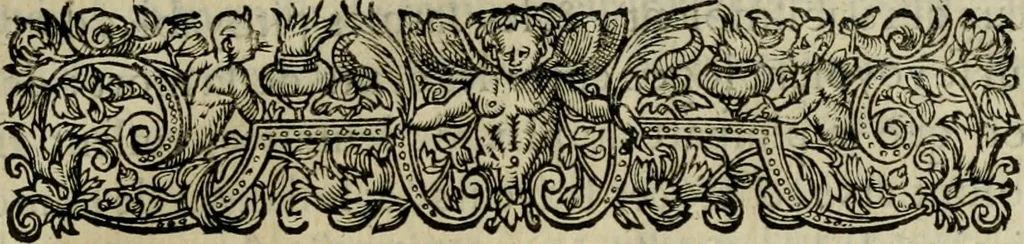 An illustration from Essay des merveilles de natvre, et des plvs nobles artifices. Piece tres-necessaire, à tous ceux qui font profession d'eloquence, 1625, leaf 150