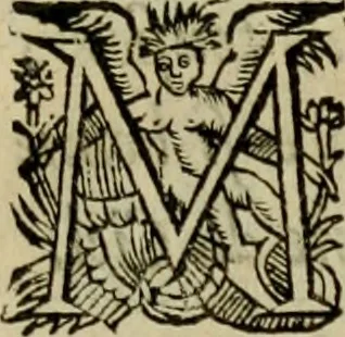An illustration from Essay des merveilles de natvre, et des plvs nobles artifices. Piece tres-necessaire, à tous ceux qui font profession d'eloquence, 1625, leaf 154