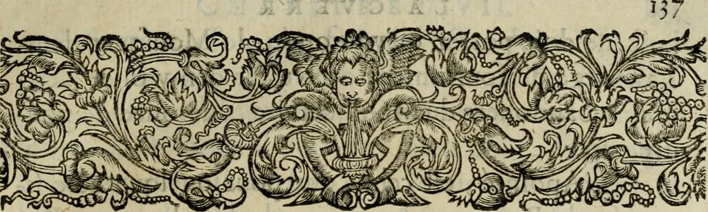 An illustration from Essay des merveilles de natvre, et des plvs nobles artifices. Piece tres-necessaire, à tous ceux qui font profession d'eloquence, 1625, leaf 156