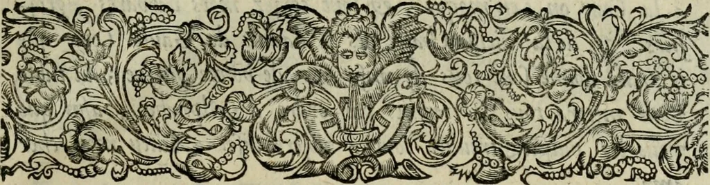 An illustration from Essay des merveilles de natvre, et des plvs nobles artifices. Piece tres-necessaire, à tous ceux qui font profession d'eloquence, 1625, leaf 18