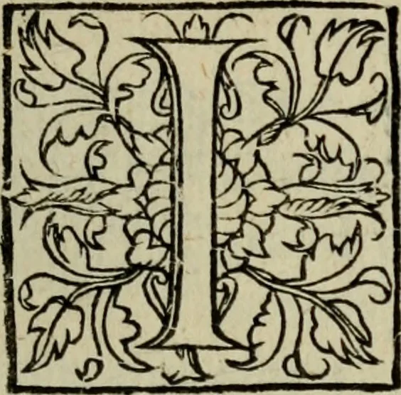 An illustration from Essay des merveilles de natvre, et des plvs nobles artifices. Piece tres-necessaire, à tous ceux qui font profession d'eloquence, 1625, leaf 18