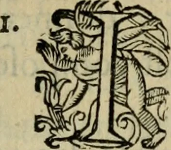 An illustration from Essay des merveilles de natvre, et des plvs nobles artifices. Piece tres-necessaire, à tous ceux qui font profession d'eloquence, 1625, leaf 182