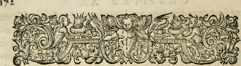 An illustration from Essay des merveilles de natvre, et des plvs nobles artifices. Piece tres-necessaire, à tous ceux qui font profession d'eloquence, 1625, leaf 191