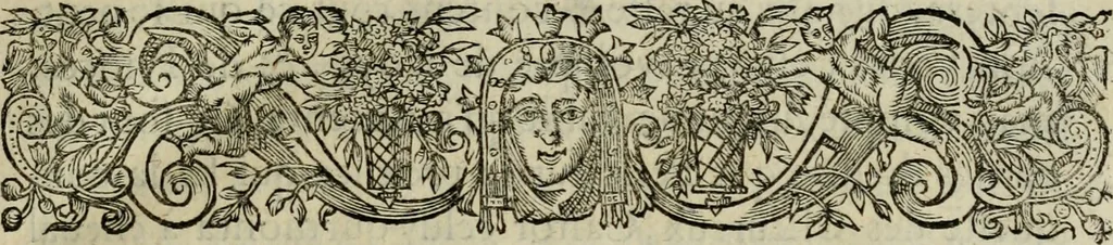 An illustration from Essay des merveilles de natvre, et des plvs nobles artifices. Piece tres-necessaire, à tous ceux qui font profession d'eloquence, 1625, leaf 20