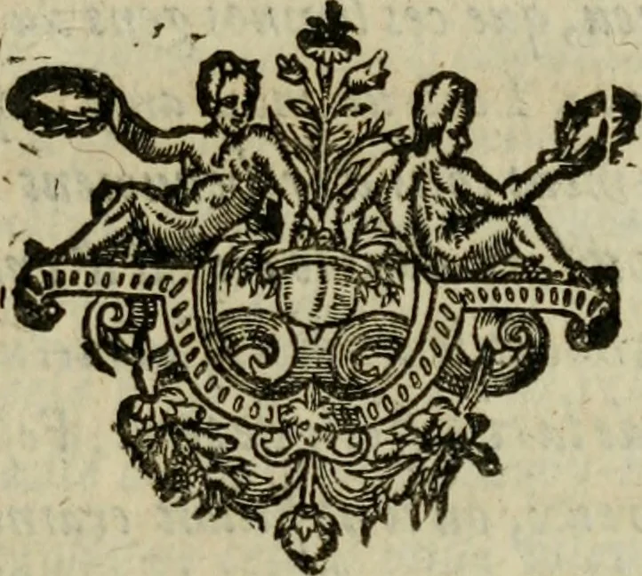 An illustration from Essay des merveilles de natvre, et des plvs nobles artifices. Piece tres-necessaire, à tous ceux qui font profession d'eloquence, 1625, leaf 216