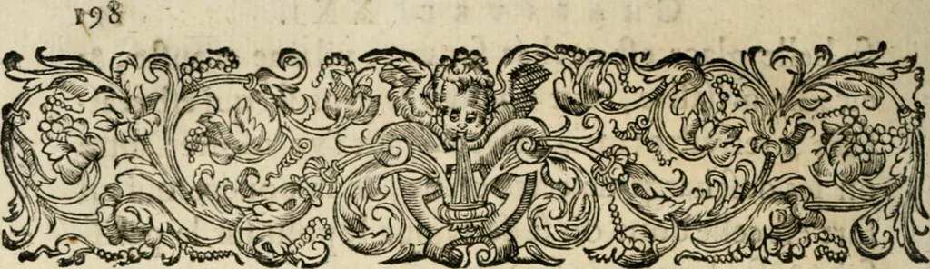 An illustration from Essay des merveilles de natvre, et des plvs nobles artifices. Piece tres-necessaire, à tous ceux qui font profession d'eloquence, 1625, leaf 217