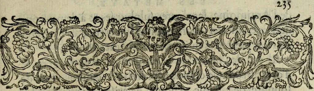 An illustration from Essay des merveilles de natvre, et des plvs nobles artifices. Piece tres-necessaire, à tous ceux qui font profession d'eloquence, 1625, leaf 254