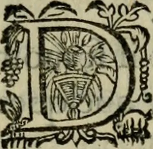 An illustration from Essay des merveilles de natvre, et des plvs nobles artifices. Piece tres-necessaire, à tous ceux qui font profession d'eloquence, 1625, leaf 254