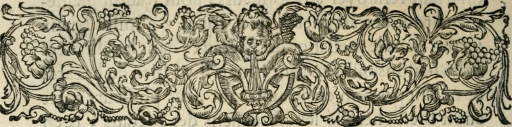 An illustration from Essay des merveilles de natvre, et des plvs nobles artifices. Piece tres-necessaire, à tous ceux qui font profession d'eloquence, 1625, leaf 265