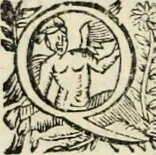 An illustration from Essay des merveilles de natvre, et des plvs nobles artifices. Piece tres-necessaire, à tous ceux qui font profession d'eloquence, 1625, leaf 265