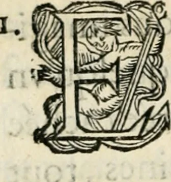 An illustration from Essay des merveilles de natvre, et des plvs nobles artifices. Piece tres-necessaire, à tous ceux qui font profession d'eloquence, 1625, leaf 299