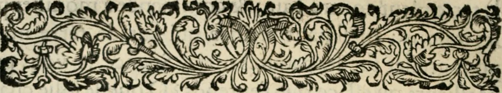 An illustration from Essay des merveilles de natvre, et des plvs nobles artifices. Piece tres-necessaire, à tous ceux qui font profession d'eloquence, 1625, leaf 309