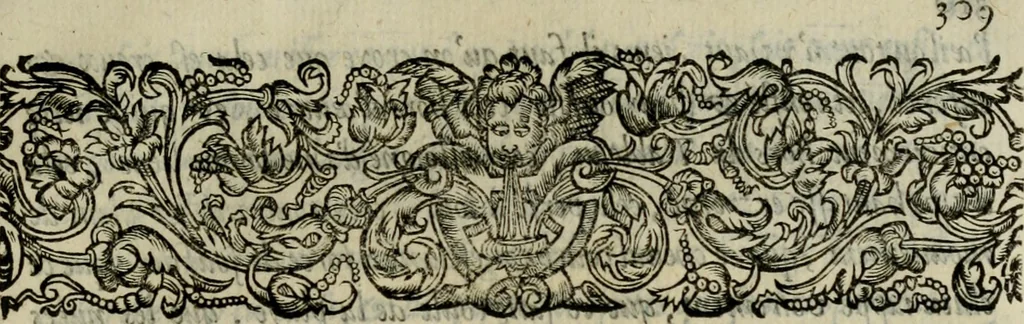 An illustration from Essay des merveilles de natvre, et des plvs nobles artifices. Piece tres-necessaire, à tous ceux qui font profession d'eloquence, 1625, leaf 328