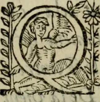 An illustration from Essay des merveilles de natvre, et des plvs nobles artifices. Piece tres-necessaire, à tous ceux qui font profession d'eloquence, 1625, leaf 328