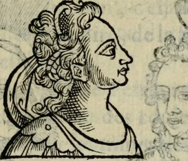 An illustration from Essay des merveilles de natvre, et des plvs nobles artifices. Piece tres-necessaire, à tous ceux qui font profession d'eloquence, 1625, leaf 338