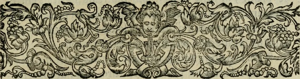 An illustration from Essay des merveilles de natvre, et des plvs nobles artifices. Piece tres-necessaire, à tous ceux qui font profession d'eloquence, 1625, leaf 346