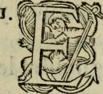 An illustration from Essay des merveilles de natvre, et des plvs nobles artifices. Piece tres-necessaire, à tous ceux qui font profession d'eloquence, 1625, leaf 346