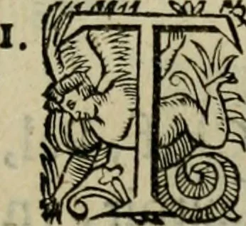 An illustration from Essay des merveilles de natvre, et des plvs nobles artifices. Piece tres-necessaire, à tous ceux qui font profession d'eloquence, 1625, leaf 374