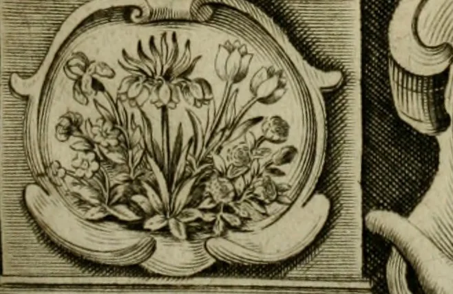 An illustration from Essay des merveilles de natvre, et des plvs nobles artifices. Piece tres-necessaire, à tous ceux qui font profession d'eloquence, 1625, leaf 4