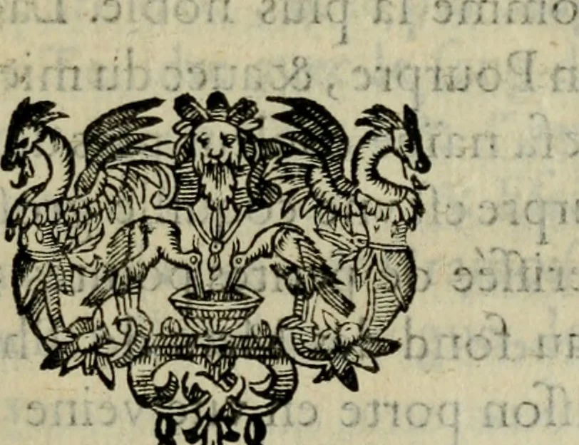 An illustration from Essay des merveilles de natvre, et des plvs nobles artifices. Piece tres-necessaire, à tous ceux qui font profession d'eloquence, 1625, leaf 402