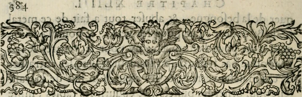 An illustration from Essay des merveilles de natvre, et des plvs nobles artifices. Piece tres-necessaire, à tous ceux qui font profession d'eloquence, 1625, leaf 403
