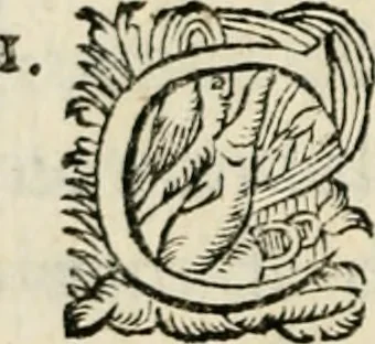 An illustration from Essay des merveilles de natvre, et des plvs nobles artifices. Piece tres-necessaire, à tous ceux qui font profession d'eloquence, 1625, leaf 403