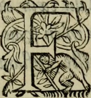 An illustration from Essay des merveilles de natvre, et des plvs nobles artifices. Piece tres-necessaire, à tous ceux qui font profession d'eloquence, 1625, leaf 410
