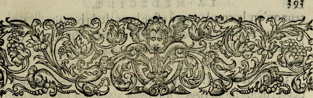 An illustration from Essay des merveilles de natvre, et des plvs nobles artifices. Piece tres-necessaire, à tous ceux qui font profession d'eloquence, 1625, leaf 412