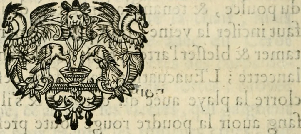 An illustration from Essay des merveilles de natvre, et des plvs nobles artifices. Piece tres-necessaire, à tous ceux qui font profession d'eloquence, 1625, leaf 425