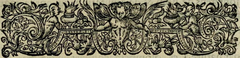 An illustration from Essay des merveilles de natvre, et des plvs nobles artifices. Piece tres-necessaire, à tous ceux qui font profession d'eloquence, 1625, leaf 426