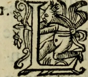 An illustration from Essay des merveilles de natvre, et des plvs nobles artifices. Piece tres-necessaire, à tous ceux qui font profession d'eloquence, 1625, leaf 426