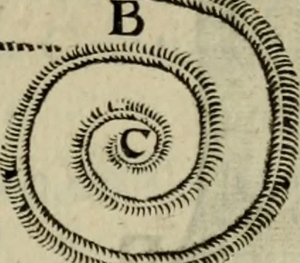 An illustration from Essay des merveilles de natvre, et des plvs nobles artifices. Piece tres-necessaire, à tous ceux qui font profession d'eloquence, 1625, leaf 432