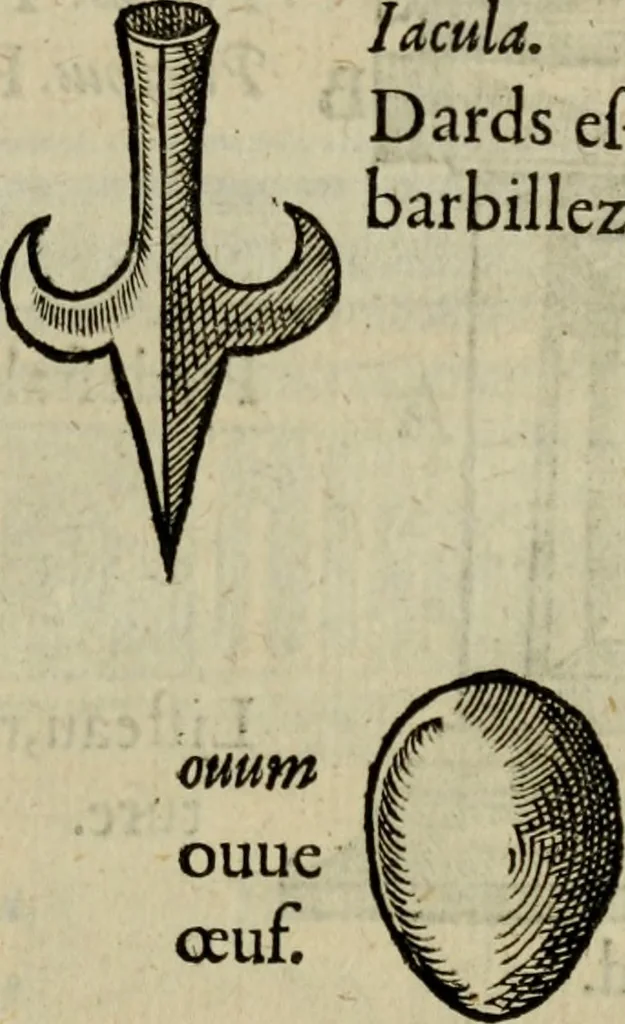 An illustration from Essay des merveilles de natvre, et des plvs nobles artifices. Piece tres-necessaire, à tous ceux qui font profession d'eloquence, 1625, leaf 432