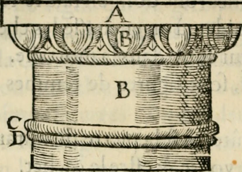 An illustration from Essay des merveilles de natvre, et des plvs nobles artifices. Piece tres-necessaire, à tous ceux qui font profession d'eloquence, 1625, leaf 445