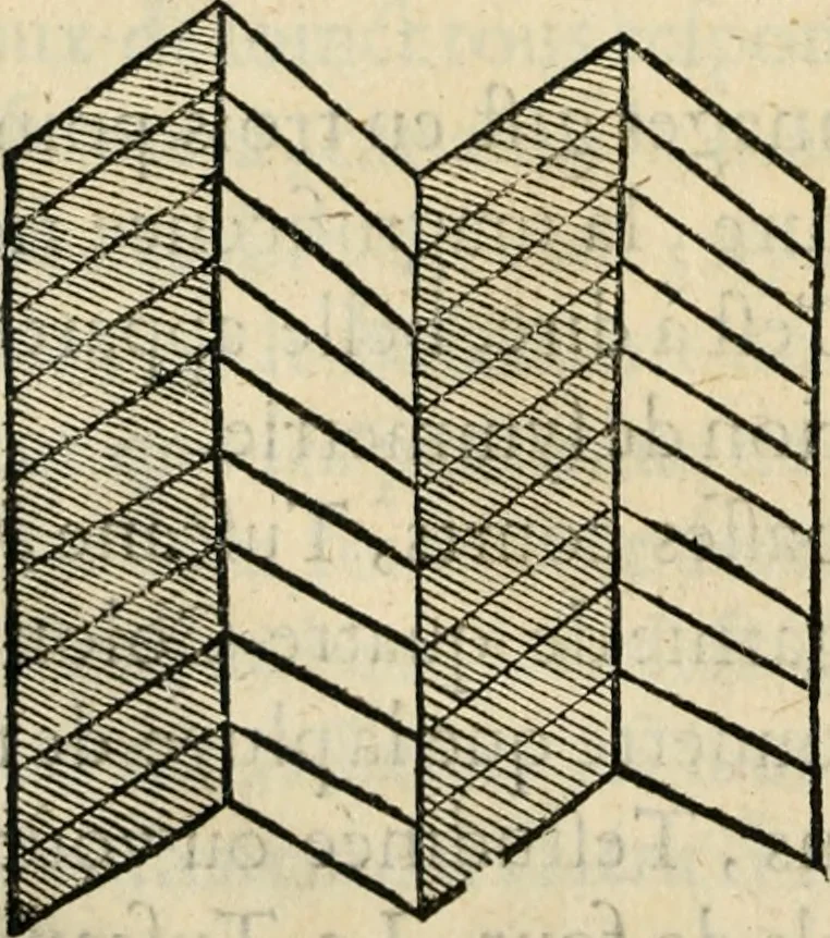 An illustration from Essay des merveilles de natvre, et des plvs nobles artifices. Piece tres-necessaire, à tous ceux qui font profession d'eloquence, 1625, leaf 453