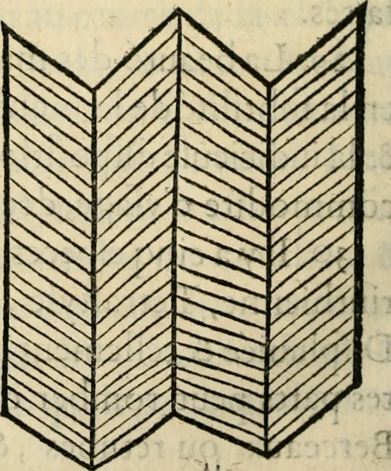 An illustration from Essay des merveilles de natvre, et des plvs nobles artifices. Piece tres-necessaire, à tous ceux qui font profession d'eloquence, 1625, leaf 453
