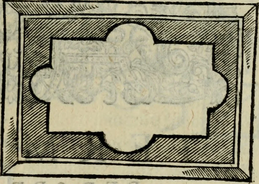 An illustration from Essay des merveilles de natvre, et des plvs nobles artifices. Piece tres-necessaire, à tous ceux qui font profession d'eloquence, 1625, leaf 464