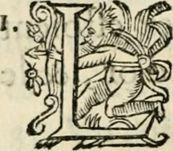 An illustration from Essay des merveilles de natvre, et des plvs nobles artifices. Piece tres-necessaire, à tous ceux qui font profession d'eloquence, 1625, leaf 465